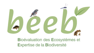 BEEB@Lyon – Master BEE